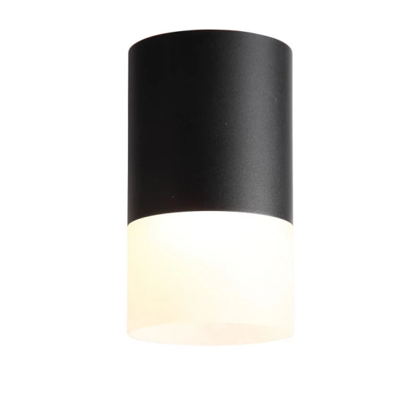 Накладной светильник ST100.402.05 ST-Luce