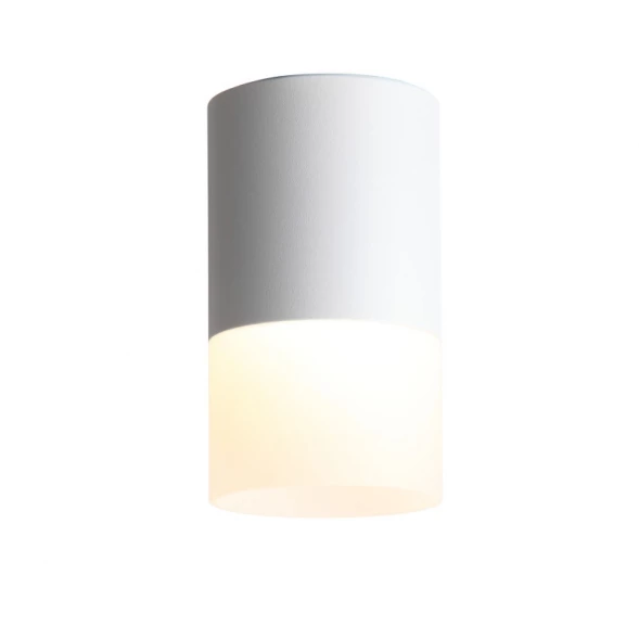 Накладной светильник ST100.502.10 ST-Luce