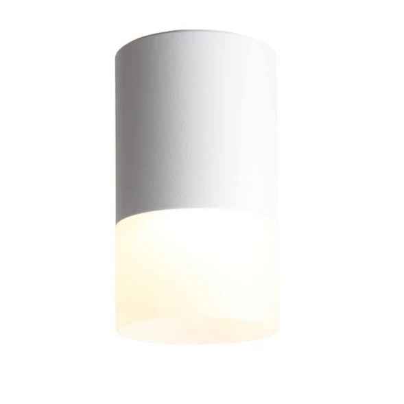 Накладной светильник ST100.542.05 ST-Luce