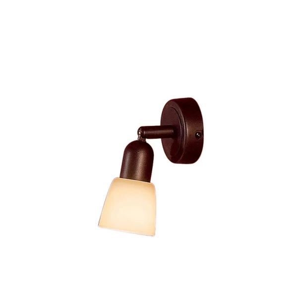 Спот CL506514 Citilux