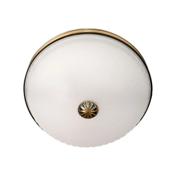 Накладной светильник 295013402 MW-Light