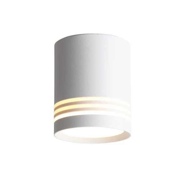 Накладной светильник ST101.502.05 ST-Luce