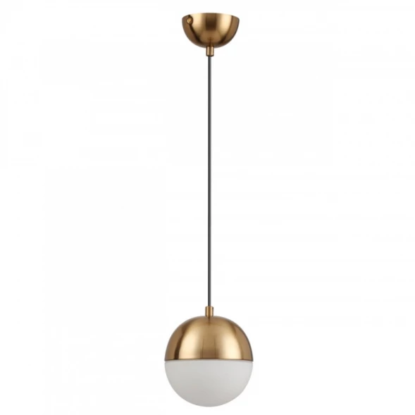 Подвесной светильник Odeon Light 4960/1