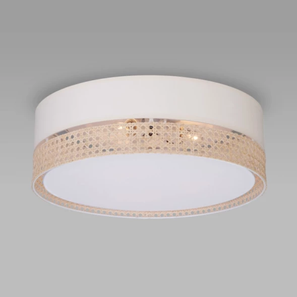 Накладная люстра TK Lighting 6690