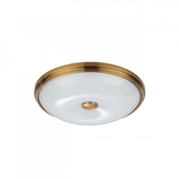 Накладной светильник Odeon Light 4956/4