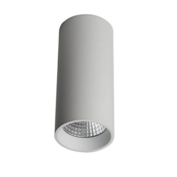 Накладной светильник LeDron SLC7392/12W-W