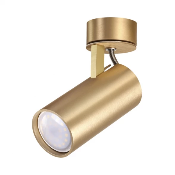Спот 3876/1C Odeon Light