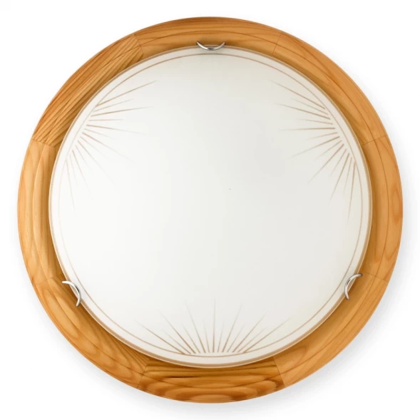 Накладной светильник TL9144Y-02PN TOPLIGHT