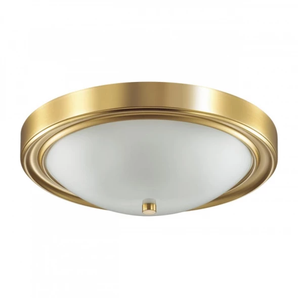 Накладной светильник LUMION 5259/3C