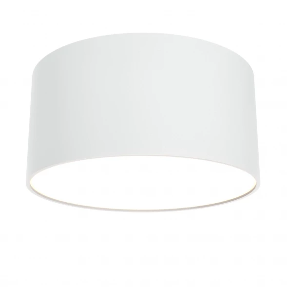 Потолочный светильник Technical C032CL-L12W3K