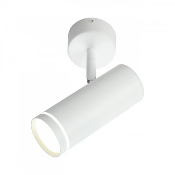 Спот OML-102219-12 Omnilux