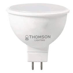 Светодиодная лампа TH-B2321 THOMSON