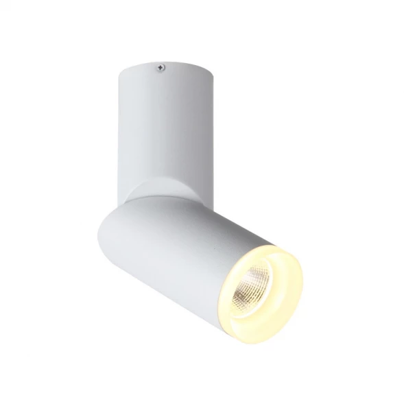 Спот ST107.502.10 ST-Luce