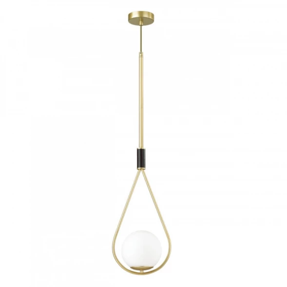 Подвесной светильник Odeon Light 4810/1