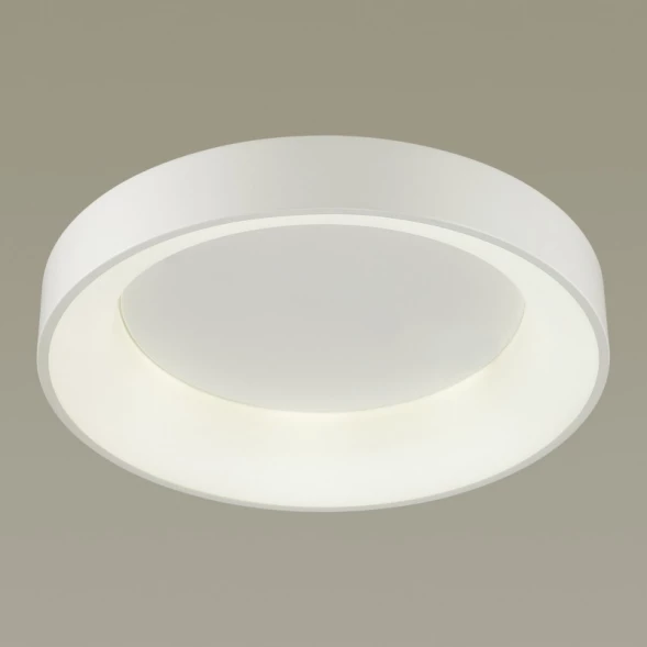 Накладной светильник 4062/50CL Odeon Light